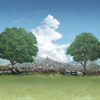 Background option 16